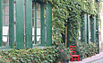 Chambres d'hotes Casalys - 11500 Quillan - Aude 
