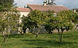 Chambres d'hotes La Maison d'Hote, location chambre d'hote en région Corse