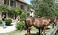 Gite Equestre de Chaumeix